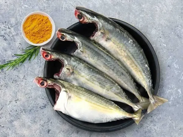 Ayala/Mackerel Fish আইলা মাছ (5-7 Pcs/kg) - Image 2